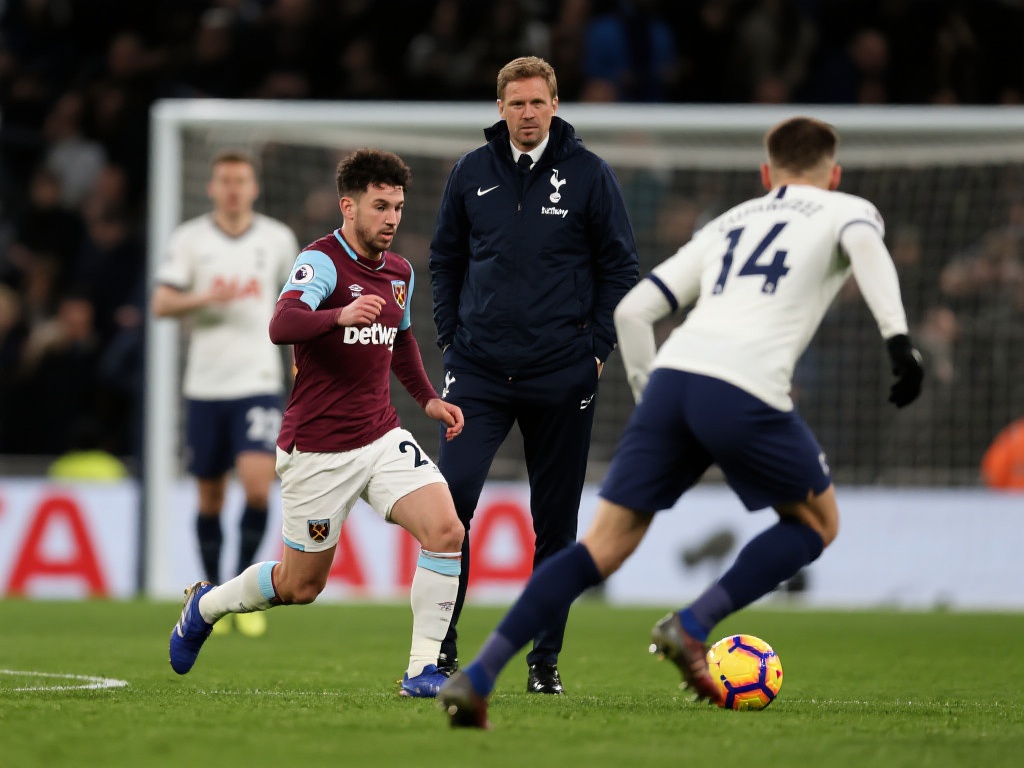 教练团队的 教练团队的